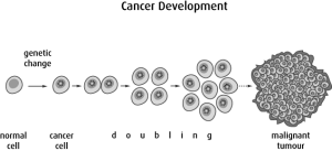 ecc7d1d27275a4b9cb29cf31ea08780d[1]